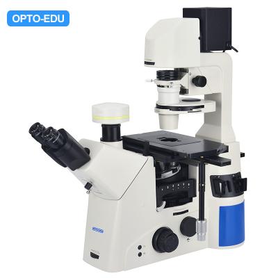China OPTO EDU A14.1096 Laboratory 22mm Inverted Fluorescence Microscope for sale