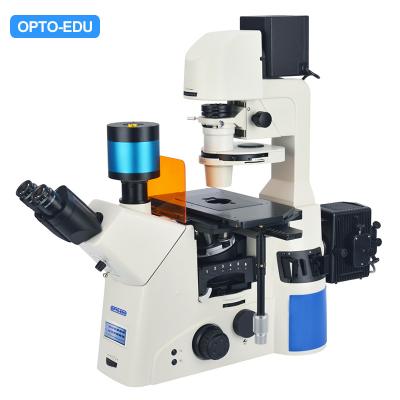 China Opto Edu A16.1097 Lcd Touch Screen Fluorescence Stereomicroscope for sale