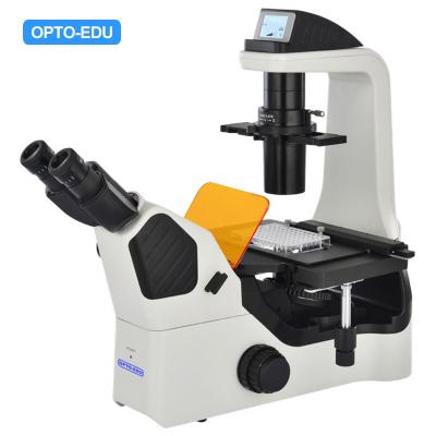 China OPTO EDU A16.1064 Inverted Fluorescent Microscope B G U Long Working Distance for sale