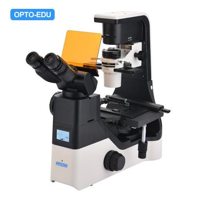 China OPTO EDU A16.1065 LCD Screen Inverted LED Fluorescent Microscope Tiltable Binocular Photo Port On Side for sale