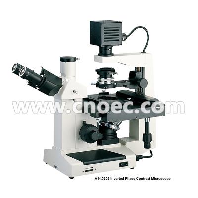 China 400X Plan Phase Contrast  Inverted Optical Microscope Halogen Lamp Rohs CE A14.0202 for sale