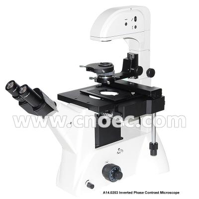 China Infinity Objective Inverted Optical Microscope Phase Contrast Microscope  Bright Field A14.0203 for sale