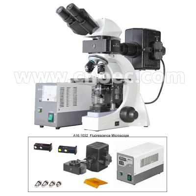 China Infinite Binocular Fluorescence Microscope 3W LED Lamp B and G Filter A16.1032 for sale