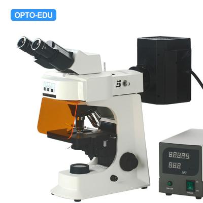 Cina Microscopio fluorescente di OPTO-EDU A16.2601-B2, binoculare, B/G in vendita