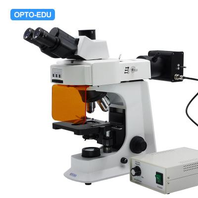 China OPTO-EDU A16.2601 40x - 1000x LED Trinocular Fluorescence Microscope For Research / Learning for sale