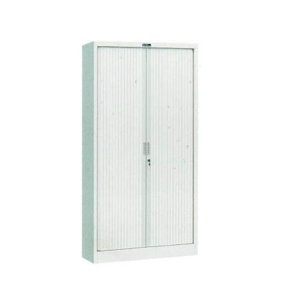 China Insulated Steel File Cabinet Cupboard Powder Coating With 2 Door for sale