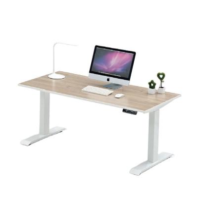 China Motorized Office Ergonomic Table , Office Desk Adjustable Height Multipurpose for sale