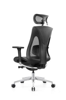 China Experience Unmatched Support Ergonomic Mesh Office Chair for Optimal Posture en venta