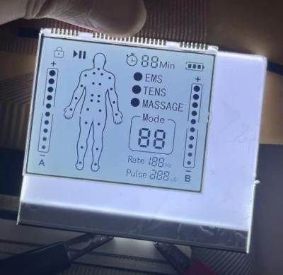China Positive Matrix HTN Lcd Display Transmissive Module LCD Screen Massager for sale