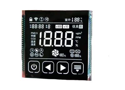 China módulo numérico monocromático transmissivo do LCD do dígito do segmento da tela sete da exposição de 3.5V VA LCD à venda