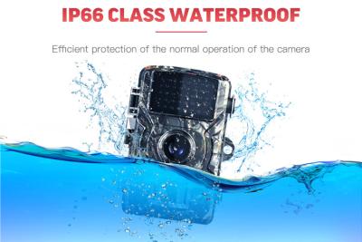 China Night Vision Outdoor Infrared Game Camera Waterproof  2 Inch Screen for sale