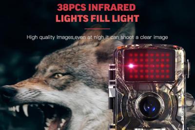 China Digital 1080p Cmos Trail Hunting Camera Waterproof Night Vision for sale