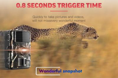 중국 KH 야외 야생생물 카메라 야간 시력 0.8s 빠른 트리거링 시간 판매용