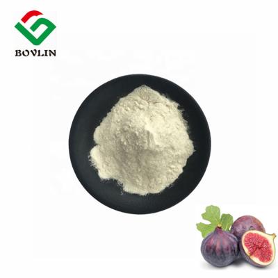 China Organic Fig Fruit Powder Water Soluble Ficus Carica Juice Powder for sale