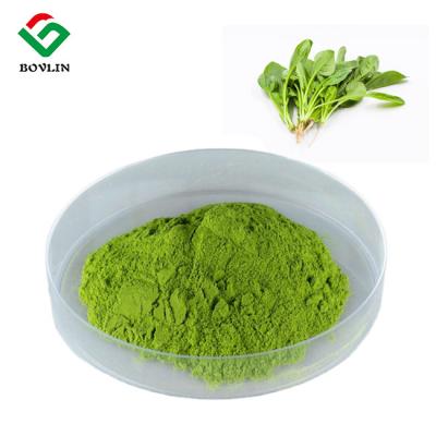 China 100% Pure Natural Green And Healthy Vegetable Powder Organic Spinach Powder for sale
