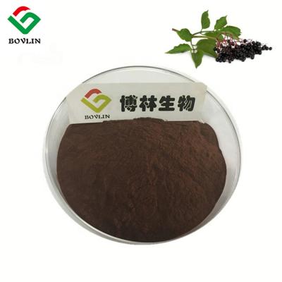 China 25% Anti Influenza Anti Oxidation Elderberry Fruit Powder Natural for sale