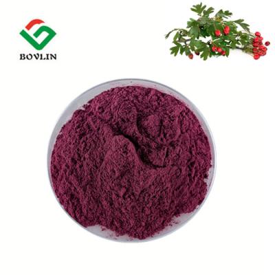 China Anthocyanin Elderberry Juice Powder HPLC Elderberry Fruit Powder for sale