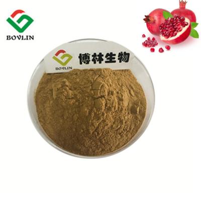 China 80 Mesh Pomegranate Skin Extract 30% Ellagic Acid Pomegranate Husk Extract for sale