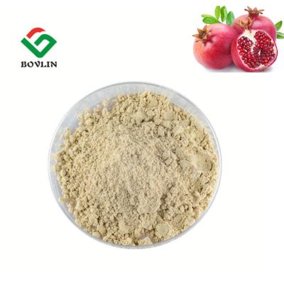 China Brown Yellow 40% Ellagic Acid Powder 80 Mesh Pomegranate Bark Powder for sale