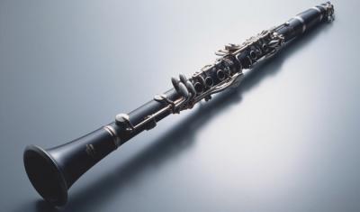 China Professional PerformanClarinet Wholesale Woodwind Musical Instrument Clarinet Abs Wooden Body Clarinet For Beginner OEM for sale