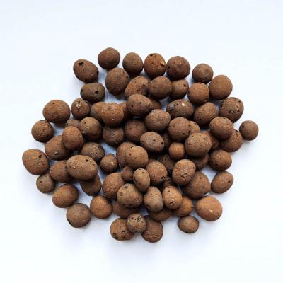 China Agricultural horticultural planting rose clay pebbles clay pebbles for aquaponics for sale