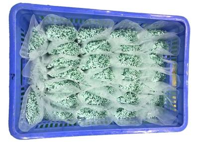 China ALCANCE o leve verde as cintas plásticas de nylon de 120 graus 2.5mm à venda
