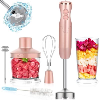 China Powerful House Stick Blender 5 In 1 Immersion Hand Blender for sale