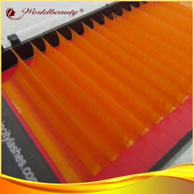 China Orange C curl Mink Eyelashes Extensions Polybutylene Terephthalate for sale