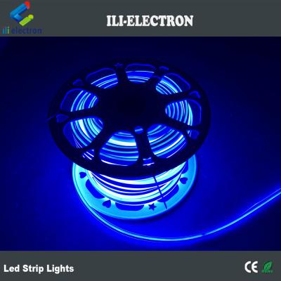 Chine Lumière à bande LED flexible étanche à l' eau, lampes à câbles LED 24 volts pour décorations extérieures à vendre