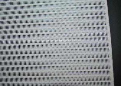 China Small Loop Polyester Spiral Mesh , Conveyor Belt Mesh For Paper Making for sale
