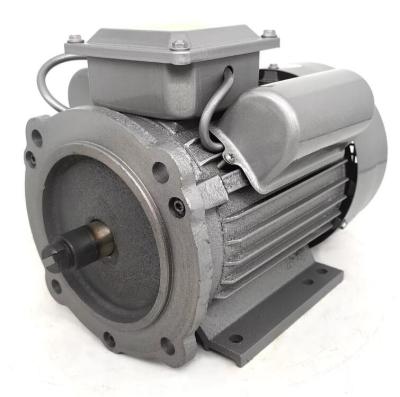 China IE3 0.55~315KW IP55 Electric Motor 100% Copper Core 220v Ac Single Phase Iron Shell Motor Induction Motor B5 zu verkaufen