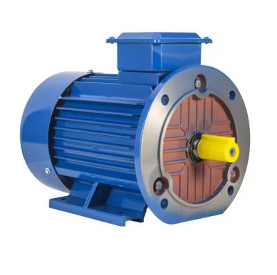 China IE3 Three-Phase Asynchronous Motor 55KW IP54 IP55 50HZ 15KW-355KW  318V AC Electric Squirrel Cage Induction Motor à venda