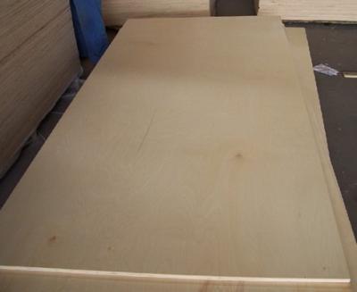 China die board plywood/ plywood die board /die board plywood/18mm plywood for sale