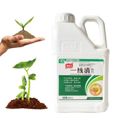 China Seaweed Extract Soil Conditioner Fertilizer Provide Nutritions And Healthy For Crops for sale
