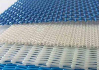 China White Color Monofilament Plain Weave Polyester Mesh Conveyor Belt for sale