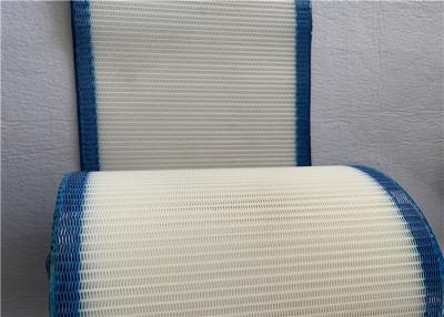 China White And Blue Monofilament Polyester Mesh Belt For Drying Packing Paper for sale