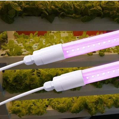 China LED plant lamp lantern growth lamp |LED top light |LED plant lighting Guangdong agricultural lighting for sale