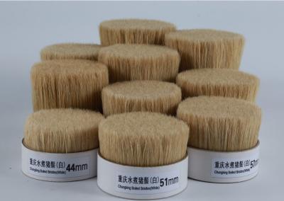 China White boiled bristles for sale