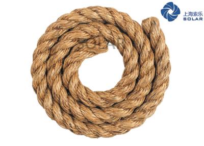 China Beautiful Appearance High Strength Fiber Rope With Smooth Surface for sale