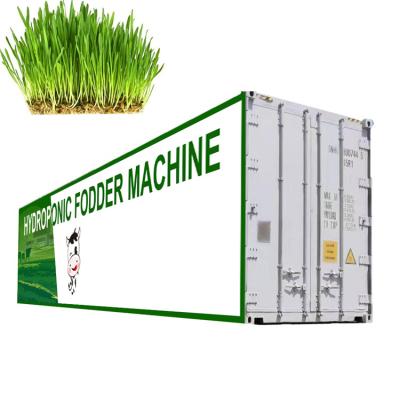 China Germination Hydroponic Fodder System / Cattle Green Fodder Growing Machine for sale