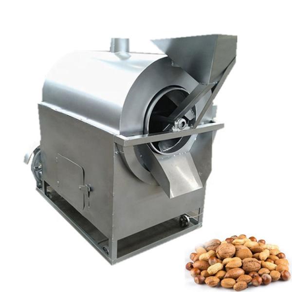 Quality Industrial Stainless Steel Snack Roaster 0.75KW 380V Nuts Seeds Roasting Machine for sale