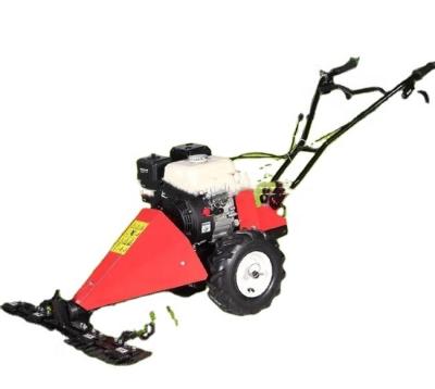 China 196CC Petrol Lawn Mower 1200W Gasoline Grass Cutter 3 1/4in Max Cutting Height for sale