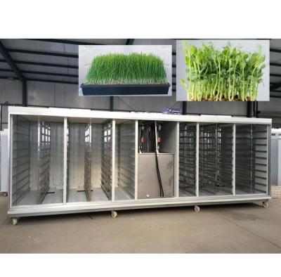 China Máquina de forraje hidropónico automático para ganado lechero / máquina de germinar cebada en venta