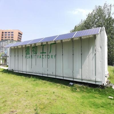 Chine Type de conteneur, machine à fourrage vert, machine à germer commerciale hydroponique à vendre