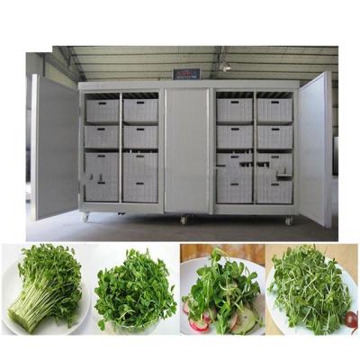 China Máquina automática de germinación de frijoles de 220V/380V 2kw Sistemas de cultivo de forrajes en venta