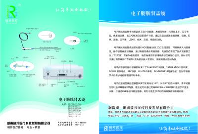 China Reborn Medical Endoscope V1E V2E With CE for sale