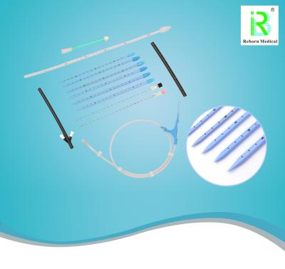 China Reborn Medical PCNL Dilator Peel Away Puncture Needle Nephrostomy Tube for sale