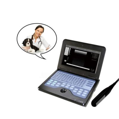 China CMS600P2-VET veterinary Portable B Ultrasound Diagnostic Instrument Notebook Type B Ultrasound Diagnostic Equipment en venta