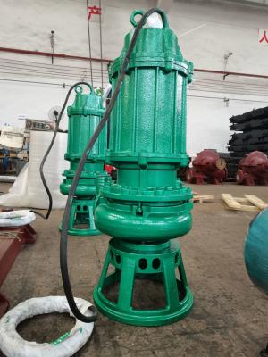 Chine Pompe à eau submersible d'ISO9001 13-4000m3/h pour la prise et le drainage d'eau non traitée à vendre