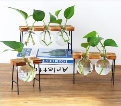 China Wholesale wood art iron frame hydroponic container green dill plant transparent glass vase creative office decoration for sale
